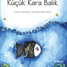 kucuk-kara-balik
