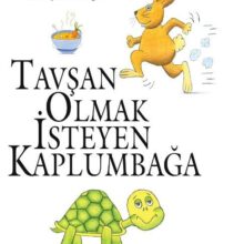 tavşan